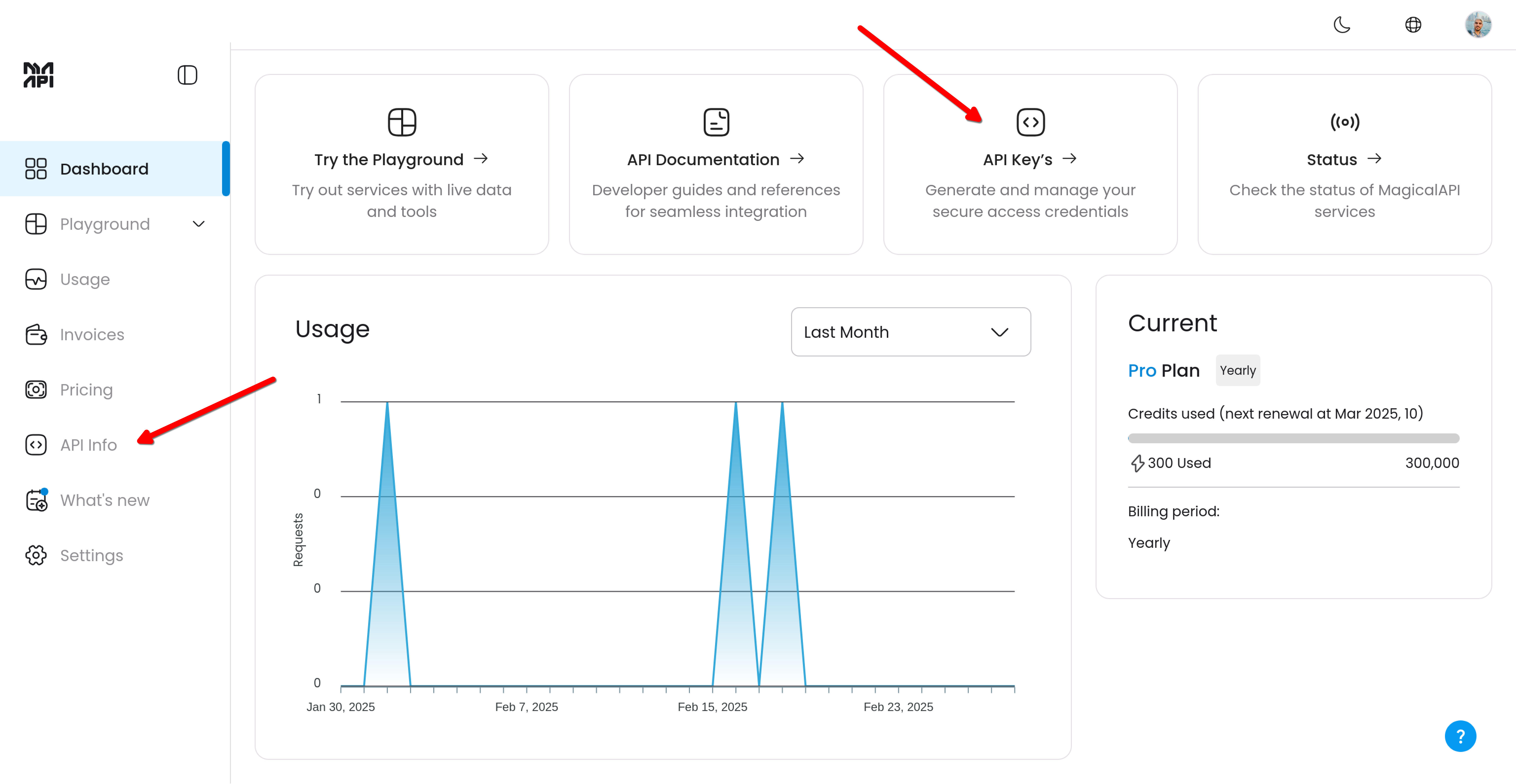 MagicalAPI Dashboard API Keys Navigation